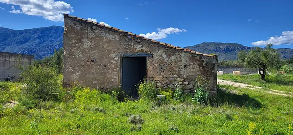 Spot image