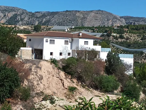 Spot image