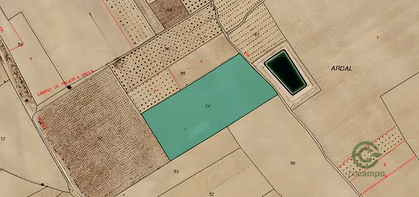Spot image