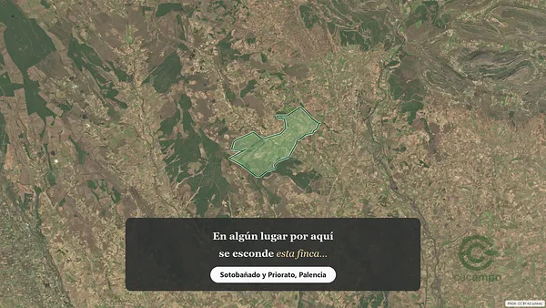 Spot image