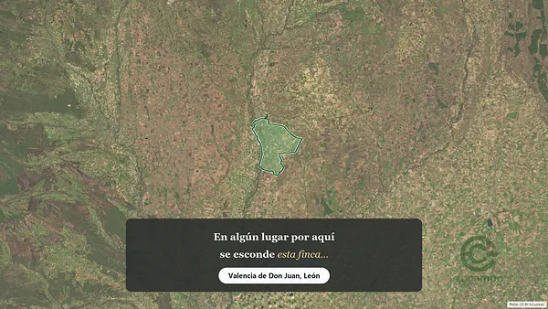 Spot image