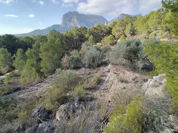 Finca agrícola de 1,12 ha en venta en Alicante