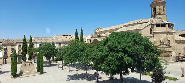Spot image