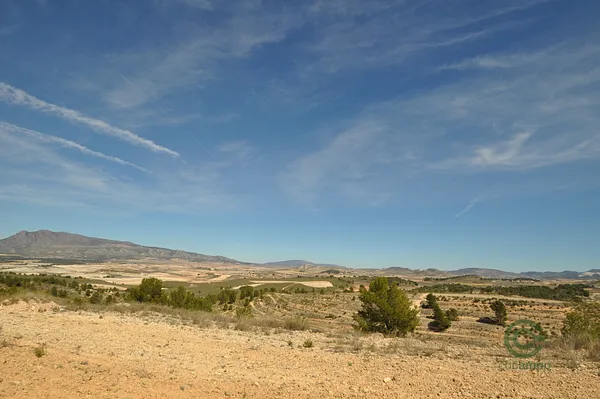 Spot image