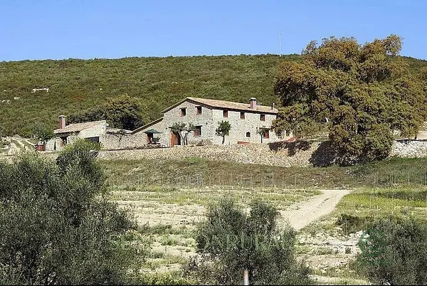 Finca rústica de 39 ha en venta en Enguera, Valencia