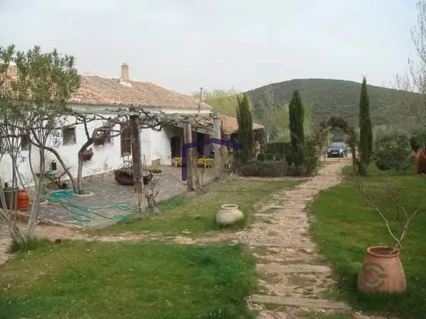 Spot image