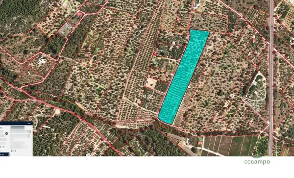 Finca agrícola de 1,93 ha en venta en Alcanar, Tarragona