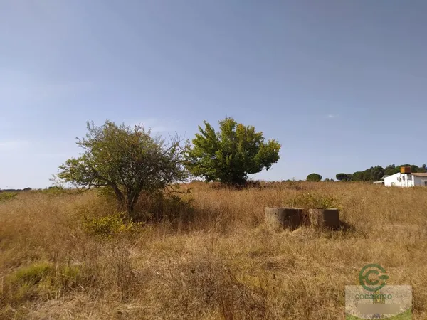 Spot image