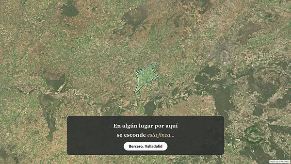 Spot image