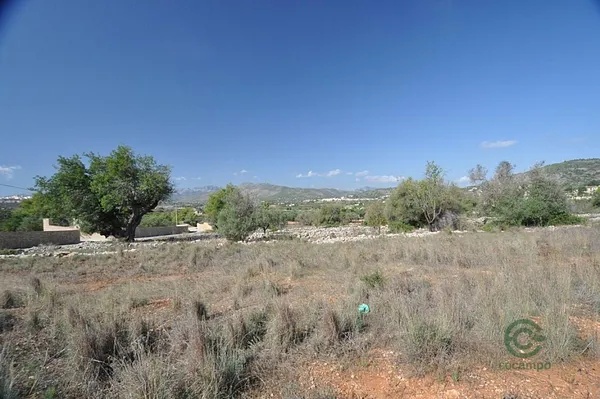 Spot image
