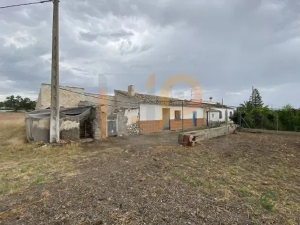 Spot image
