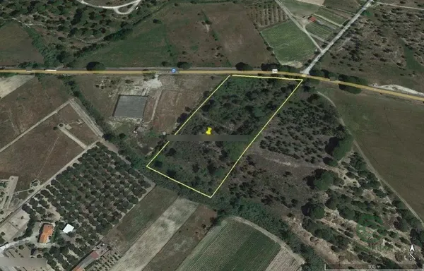Spot image