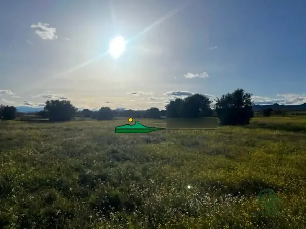 Spot image