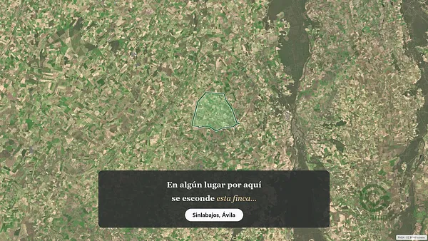 Spot image