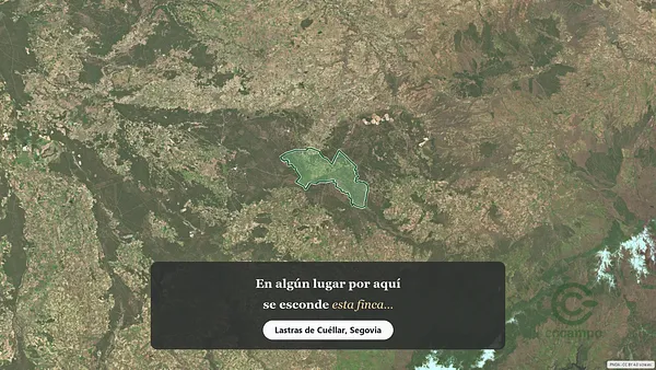 Spot image