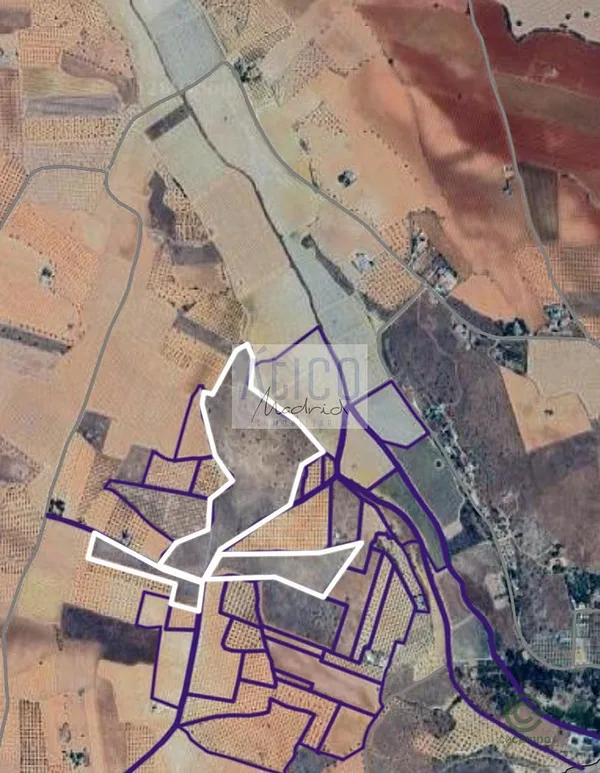 Spot image