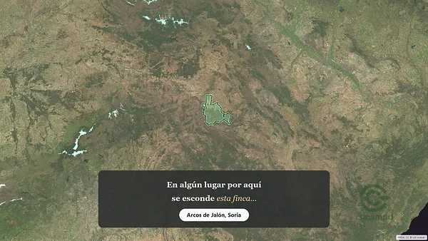 Spot image