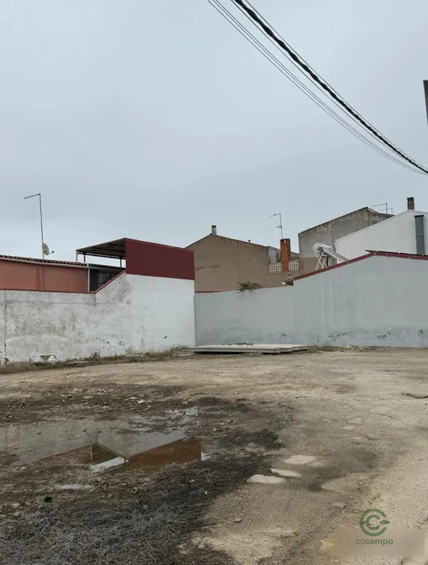 Spot image