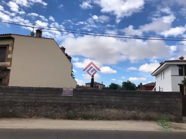 Spot image