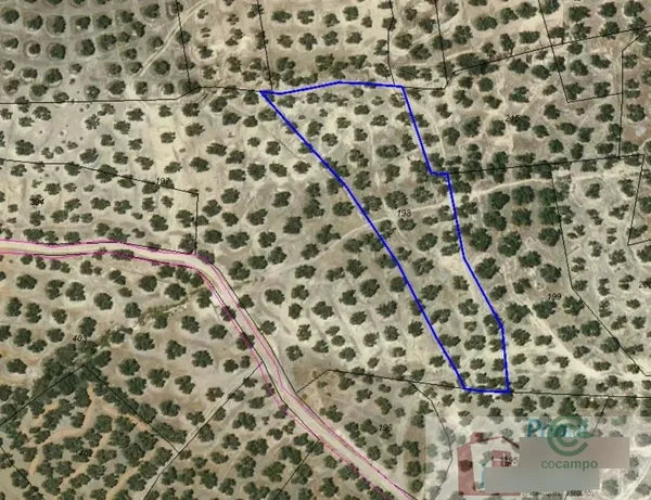 Spot image