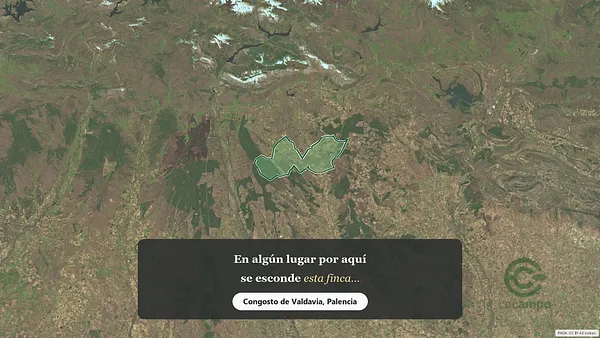 Spot image