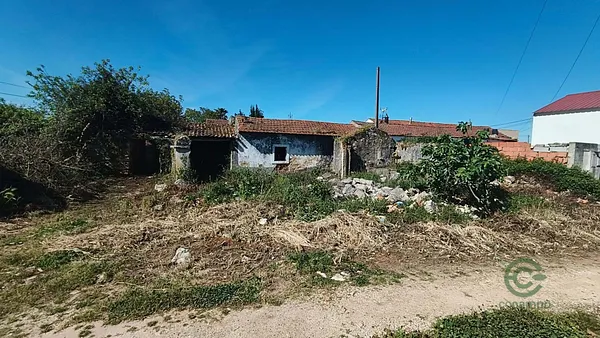 Spot image