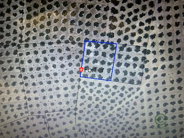 Spot image