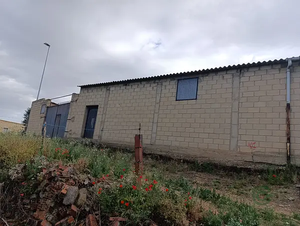 Spot image