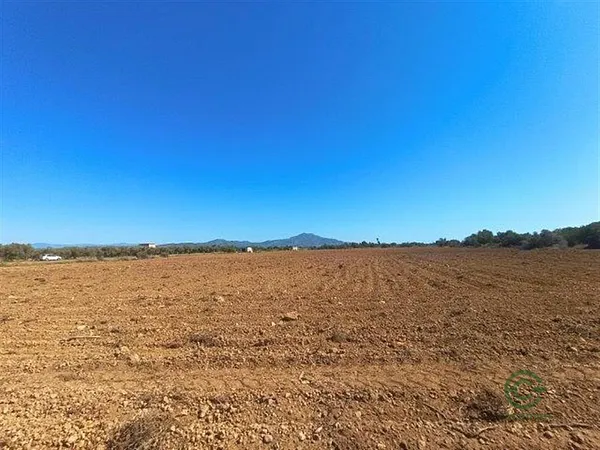 Finca rústica de 3,8626 ha en venta en Vinaròs, Castellón