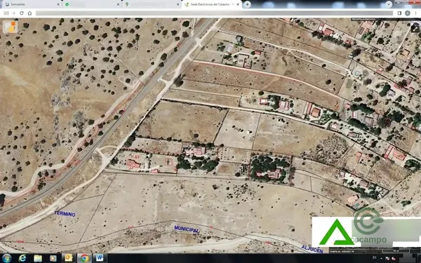 Spot image