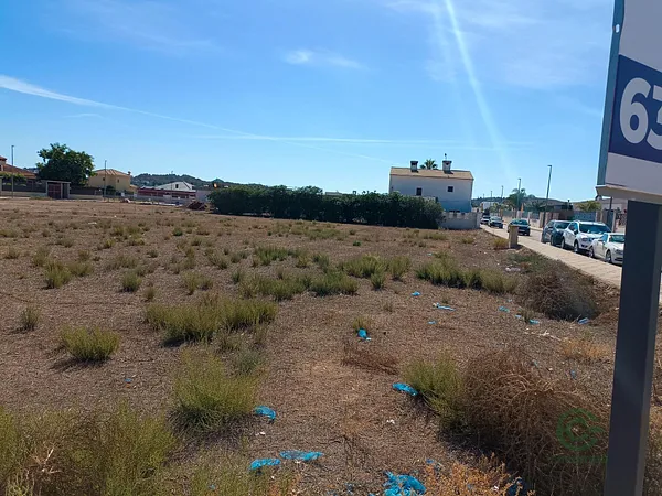 Spot image