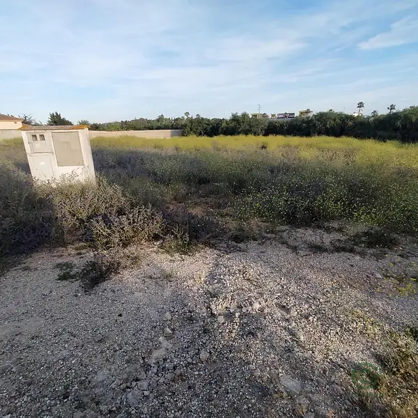 Spot image