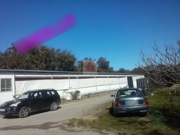 Spot image