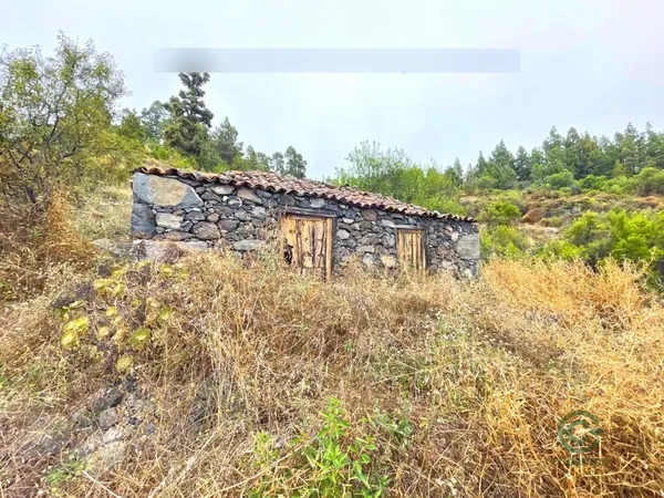 Finca agrícola de 3,9439 ha en venta en Tijarafe, Santa cruz de tenerife