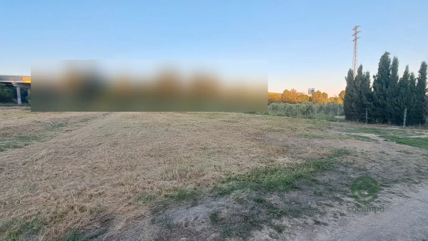 Spot image