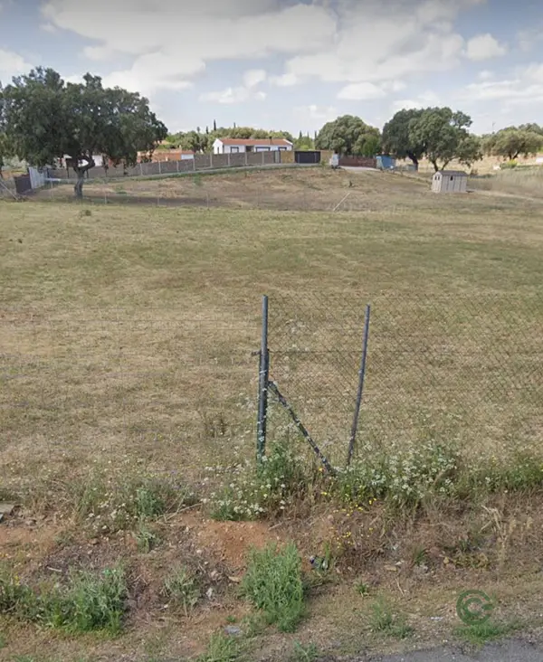 Spot image
