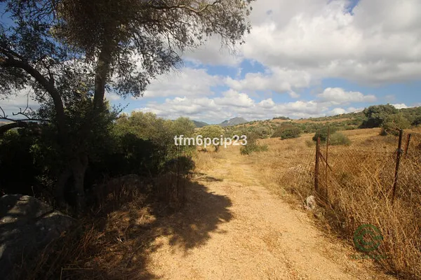 Spot image