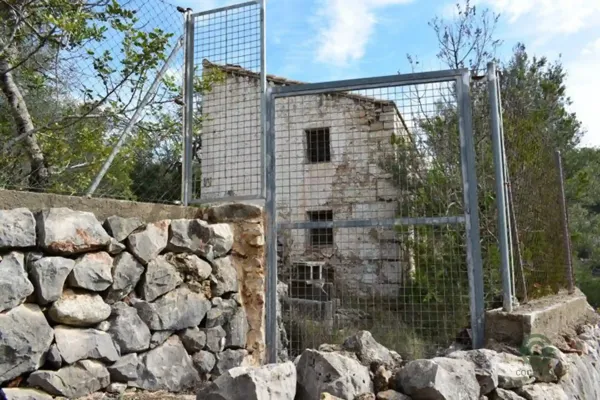 Spot image