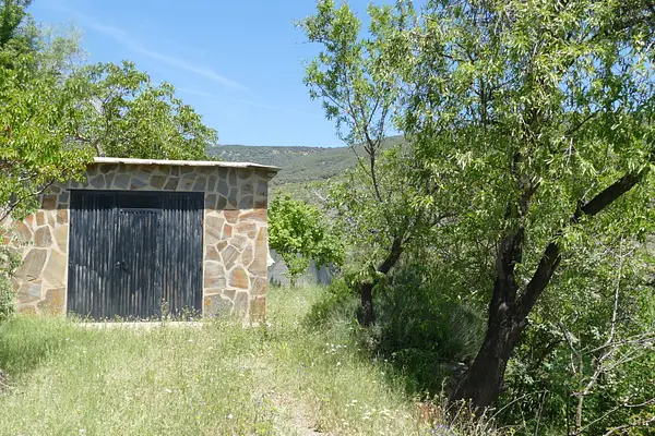 Spot image