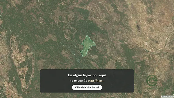 Spot image