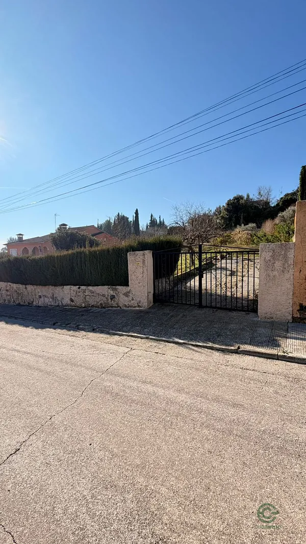 Spot image
