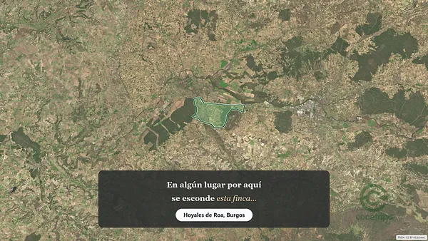 Spot image