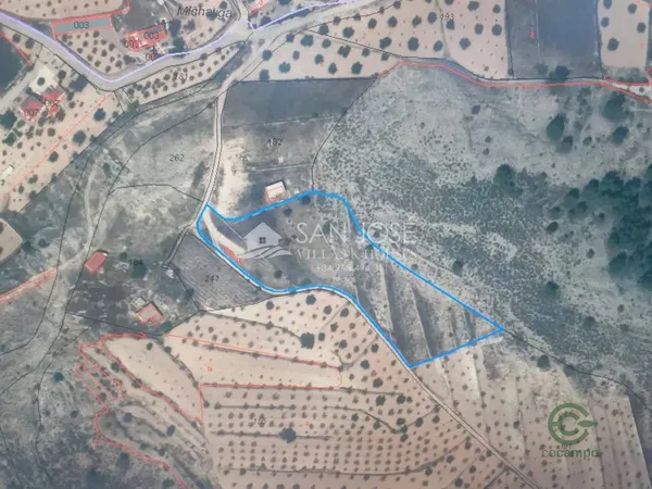 Spot image