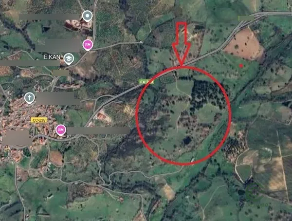 Spot image