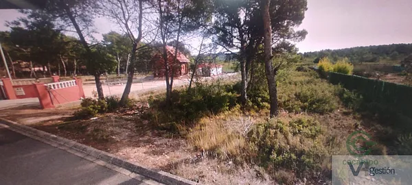Spot image