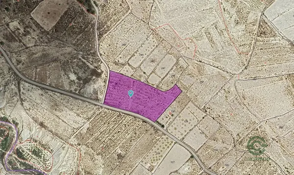 Spot image