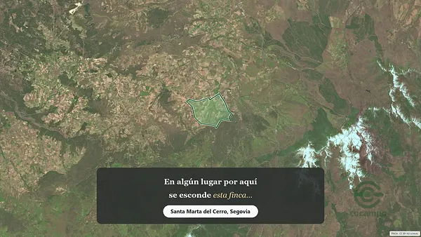 Spot image