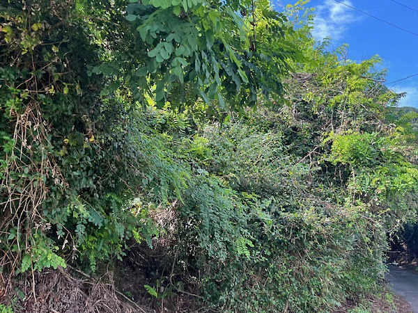 Finca rústica de 0,01 ha en venta en Bilbao, Vizcaya