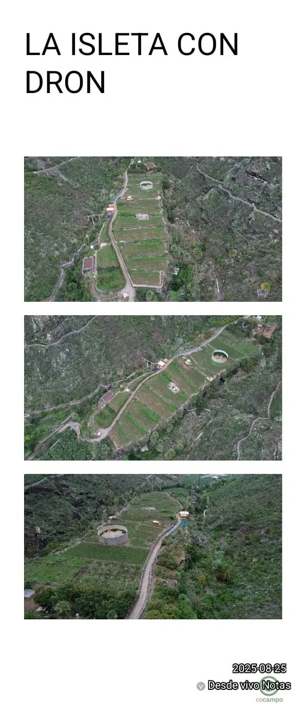 Finca agrícola de 1,2 ha en venta en Tenerife
