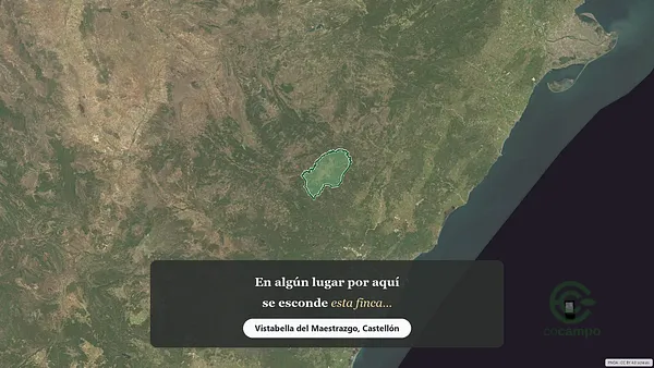 Spot image